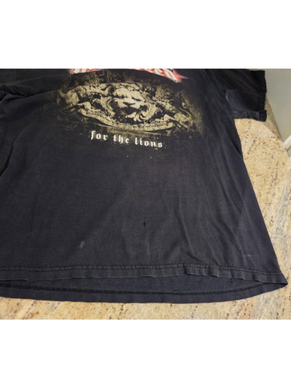 Vintage Hatebreed For The Lions Shirt Men’s Size Medium *holes - Picture 5 of 15